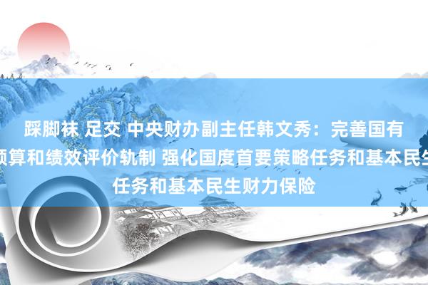 踩脚袜 足交 中央财办副主任韩文秀：完善国有成本筹办预算和绩效评价轨制 强化国度首要策略任务和基本民生财力保险